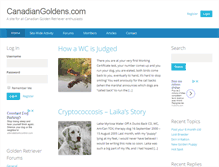 Tablet Screenshot of canadiangoldens.com